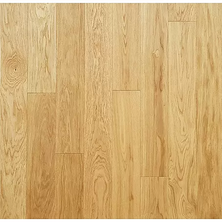 Gotovi parket Transparent