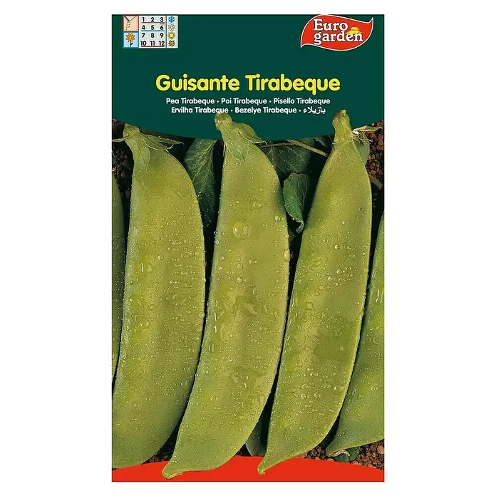 Euro Garden Semillas de vegetales Tirabeque - Tirabeque, Cosecha: Marzo - Vista frontal