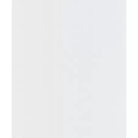 Dutch Wallcoverings  Vliesbehang
