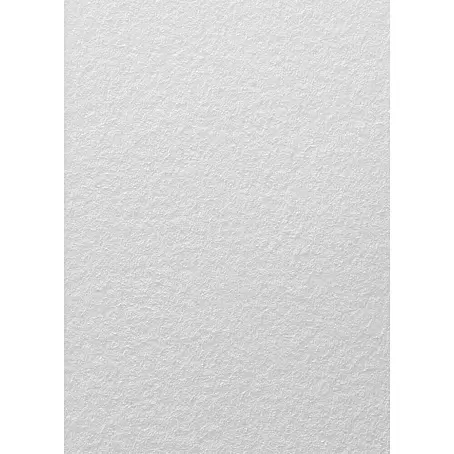 Dutch Wallcoverings  Glasvezelbehang