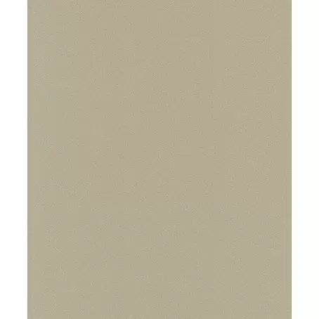 Dutch Wallcoverings  Vliesbehang