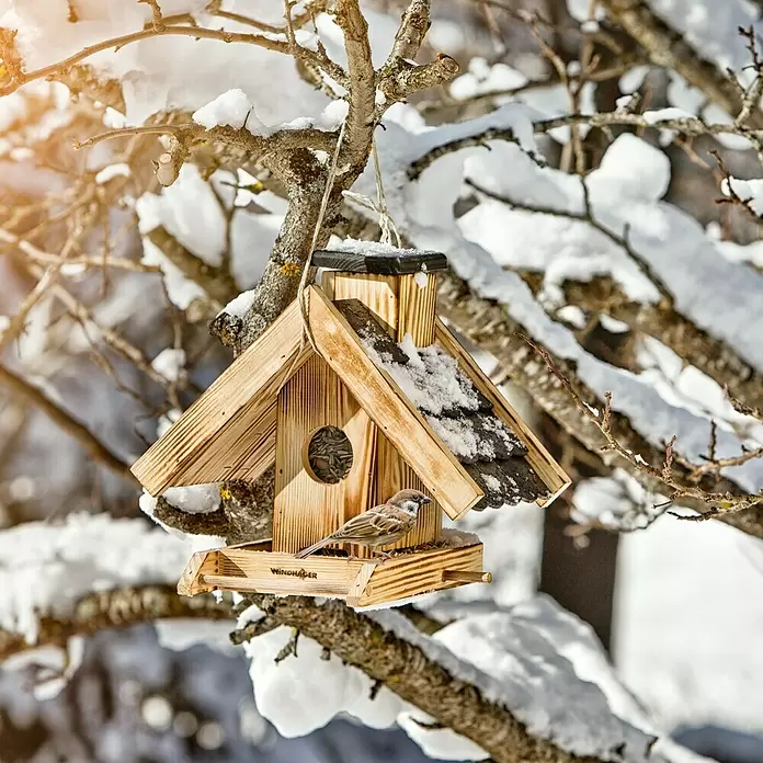 Windhager Vogelfutterhaus - L x B x H: 21 x 30 x 25 cm, Natur/Schwarz, Geflammt, Holz - Stimmungsaufnahme