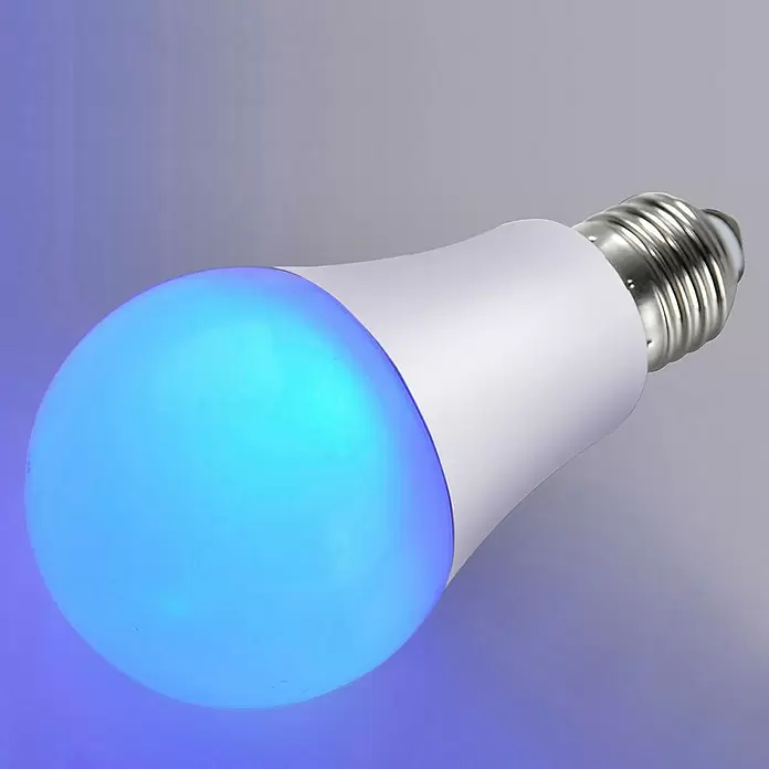LED-Leuchtmittel Globe - Blau, 5,5 W, 90 lm, E27 - Anwendungsbeispiel