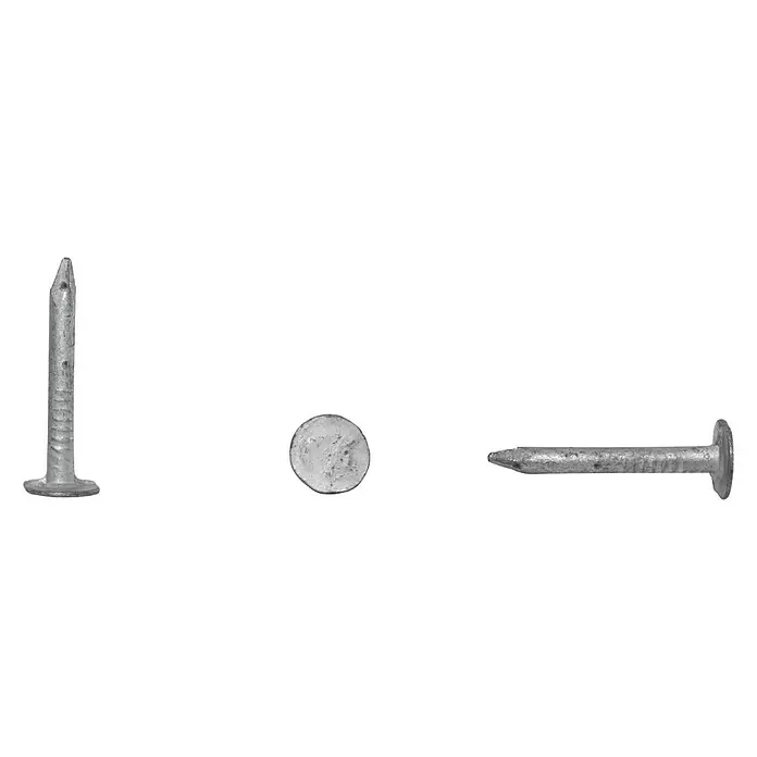 Sarei Pappnägel - 1 kg, Durchmesser: 2,5 mm, Länge: 25 mm - Ansicht von oben