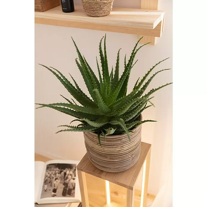 Spotlight LED-Tischleuchte Tavoli - Höhe: 62 cm - Stimmungsaufnahme