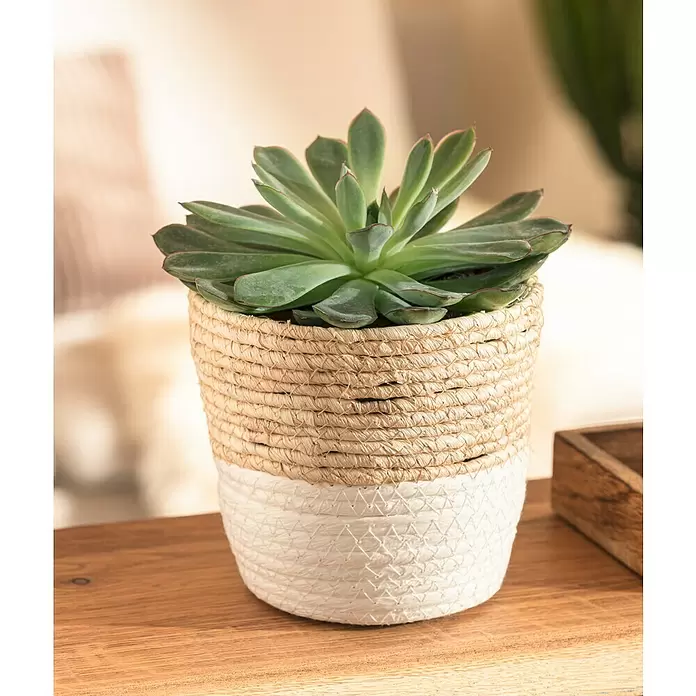 Übertopf rund Rachel - Außenmaß (Ø x H): 14 x 14 cm, Natur/Weiß - Stimmungsaufnahme