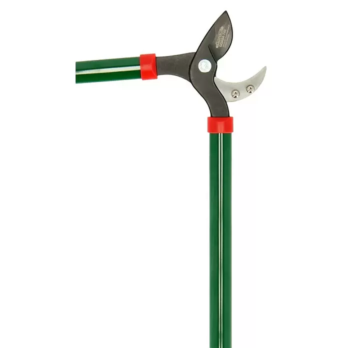 Gardol Classic Tijeras de podar - Yunque, Grosor de rama máx.: 33 mm - Primer plano