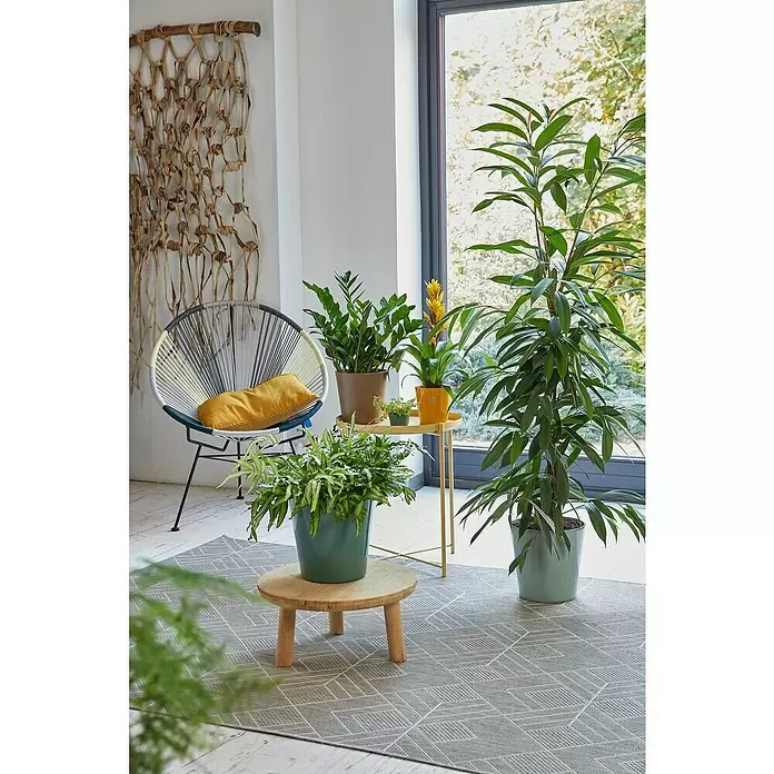 Soendgen Keramik Übertopf rund Dallas Breeze - Außenmaß (Ø x H): 14 x 13 cm, Gletscherblau, Keramik, Glänzend - Stimmungsaufnahme