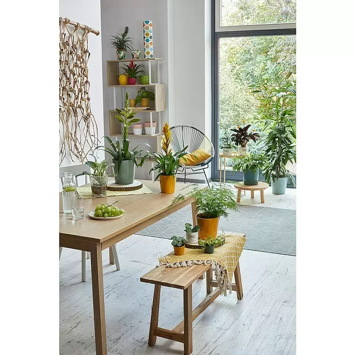 Soendgen Keramik Übertopf rund Dallas Breeze - Außenmaß (Ø x H): 14 x 13 cm, Gletscherblau, Keramik, Glänzend - Stimmungsaufnahme