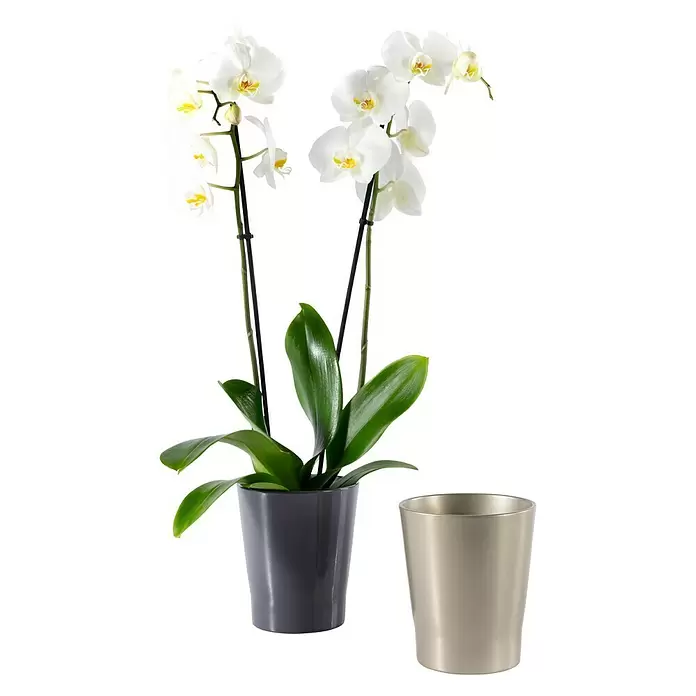 SK Orchideentopf Merina Chic - Außenmaß (Ø x H): 14 x 15 cm, Keramik, Greige metallic - Vorderansicht