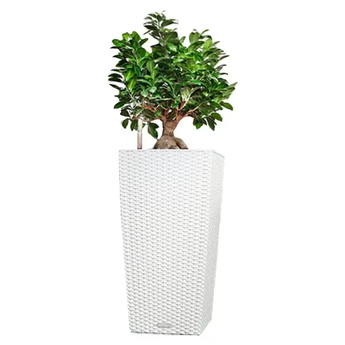 Lechuza Cottage Pflanzsäule eckig Cubico - Außenmaß (L x B x H): 30 x 30 x 56 cm, Kunststoff, Weiß - Vorderansicht
