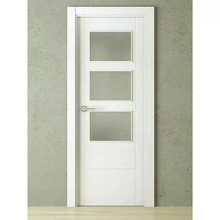 PortStylo  Puerta acristalada Caracas