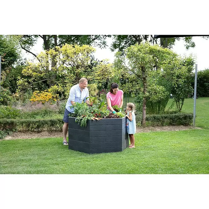 Garantia Hochbeet Ergo XL Stone - Ø x H: 145 x 25 cm, Kunststoff - Anwendungsbeispiel