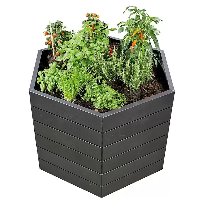 Garantia Hochbeet Ergo XL Stone - Ø x H: 145 x 25 cm, Kunststoff - Anwendungsbeispiel