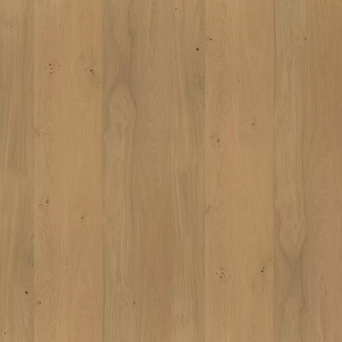 Susify Furnierboden Oak Mist - 1.900 x 190 x 8 mm, Landhausdiele - Detailaufnahme