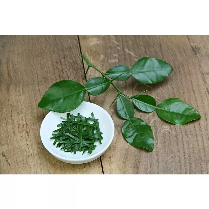 Blu Bio Kaffir-Limettenbaum - Citrus hystrix, Weiß, Topfgröße: 12 cm - Stimmungsaufnahme