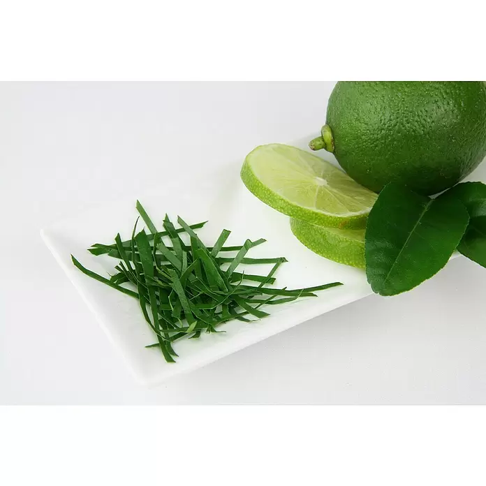 Blu Bio Kaffir-Limettenbaum - Citrus hystrix, Weiß, Topfgröße: 12 cm - Stimmungsaufnahme