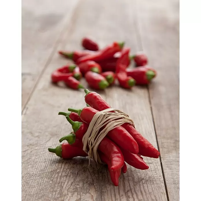 Blu Bio Chili Zwerg - Capsicum anuum, 12 cm - Stimmungsaufnahme