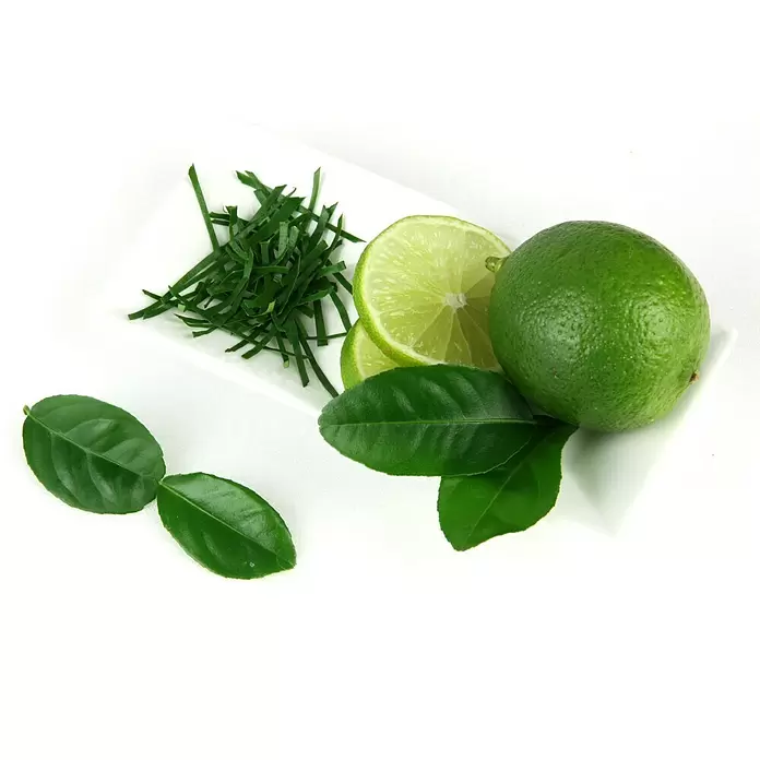 Blu Bio Kaffir-Limettenbaum - Citrus hystrix, Weiß, Topfgröße: 12 cm - Anwendungsbeispiel