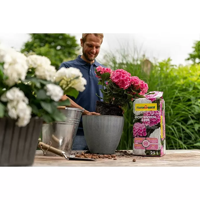 Floragard Hortensienerde - 25 l, Geeignet für: Rosa/Weiße Hortensien - Anwendungsbeispiel