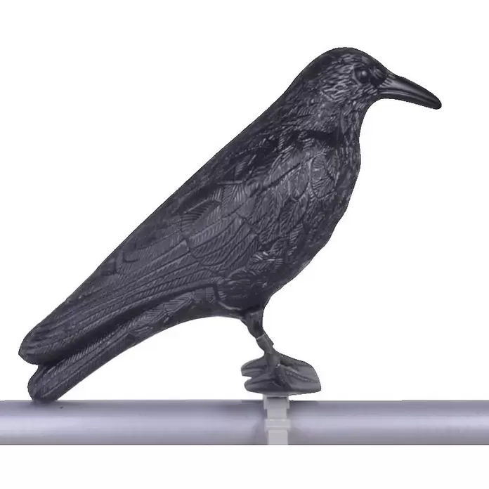Esschert Design Gavran strašilo za zaštitu od golubova - 22,2 cm, Crne boje - Detaljan prikaz
