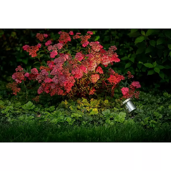 Garden Lights Led-tuinspot Arigo - 3 W, Zilver, 40 x 70 x 125 mm - Toepassingsvoorbeeld