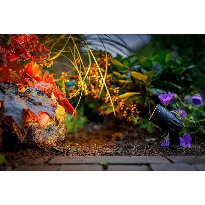 Garden Lights Led-tuinspot Neso - 2 W, Zwart, 70 x 38 x 220 mm - Toepassingsvoorbeeld