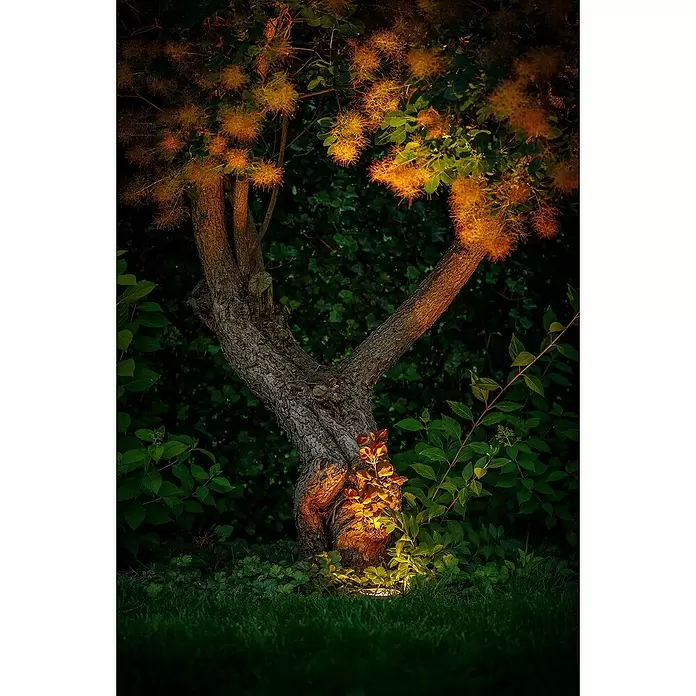Garden Lights Led-tuinspot Rubum - 5 W, Warm wit, Zwart - Toepassingsvoorbeeld