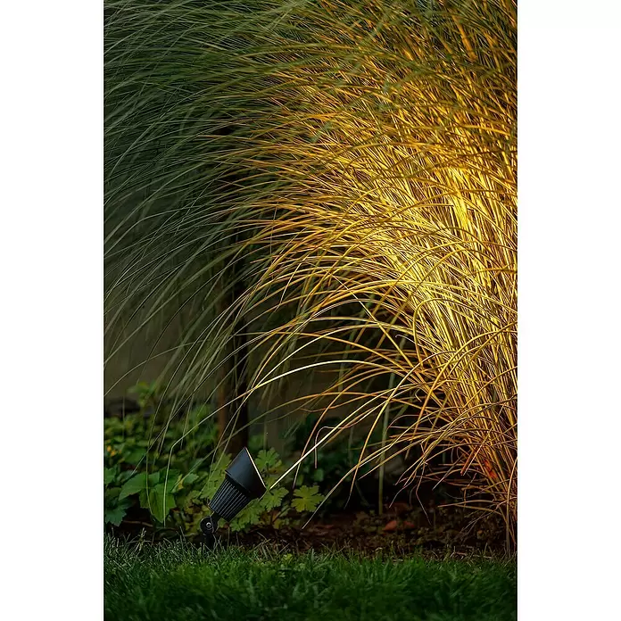 Garden Lights Led-tuinspotset Focus - 3 W, Warm wit, IP44, Hoogte: 180 mm, 1 st. - Toepassingsvoorbeeld