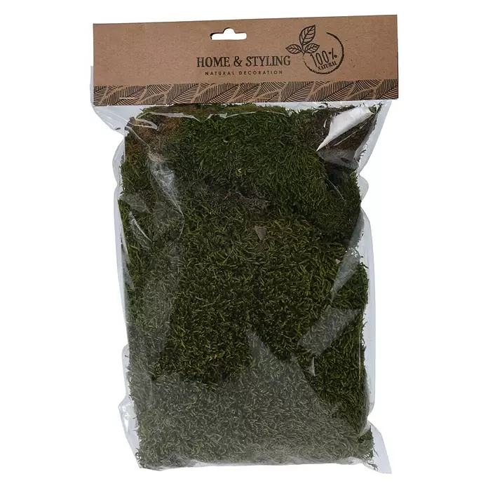 Mos - 100 g, Naturel - Vooraanzicht