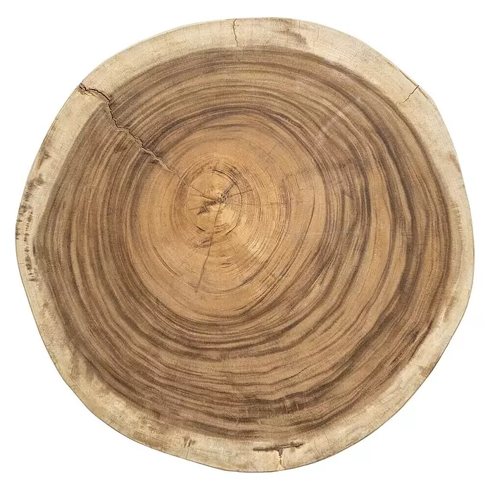 Baumscheibe - Suar, Unbehandelt, Durchmesser: 45 cm - 60 cm - Ansicht von oben