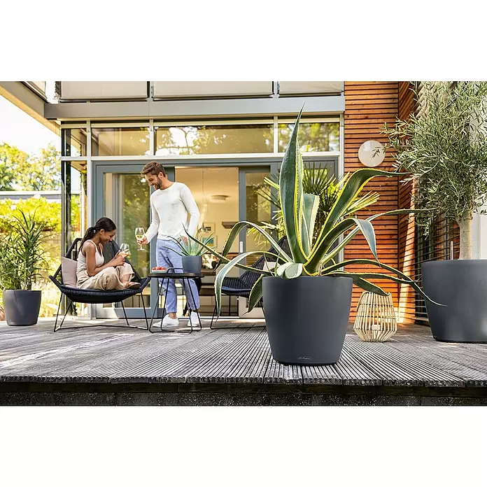Lechuza Classico Pflanzkübel rund Color - Außenmaß (Ø x H): 60 x 55,5 cm, Kunststoff, Schiefergrau - Stimmungsaufnahme