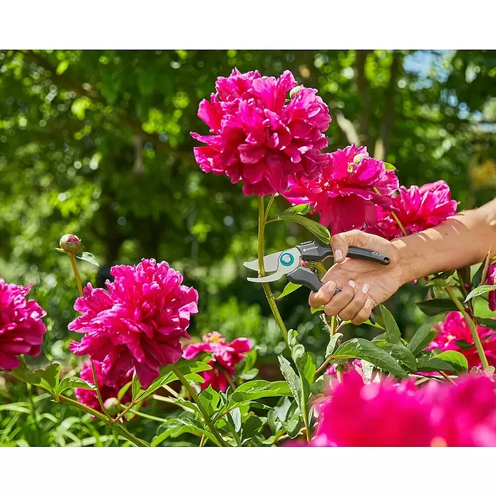 Gardena EcoLine Vrtne škare - Bypass, Maksimalna debljina grane: 18 mm - Proizvod u upotrebi