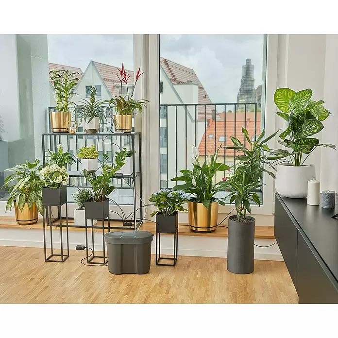 Gardena Navodnjavanje tijekom godišnjeg odmora -  - Živopisni prikaz