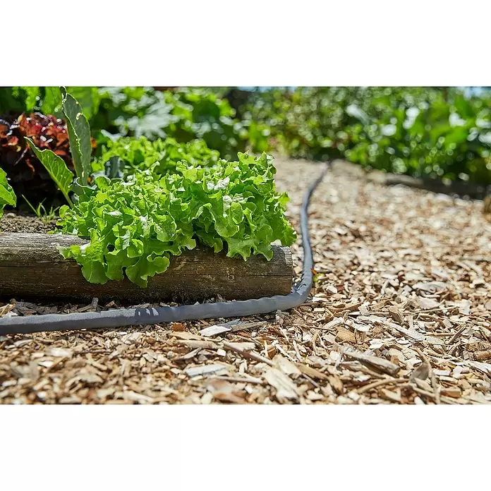 Gardena Vrtno crijevo Liano - Dužina crijeva: 10 m, Promjer crijeva: 13 mm (½″) - Živopisni prikaz
