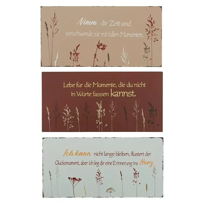 Deko-Schild Natur - 40 x 20 cm, Gräser - Vorderansicht