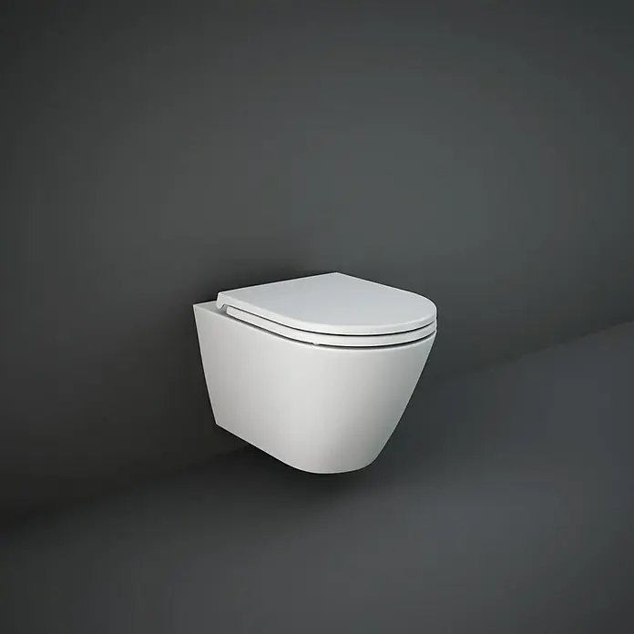 Feeling WC daska - Samospuštajuća, Mat, Duroplast - Živopisni prikaz