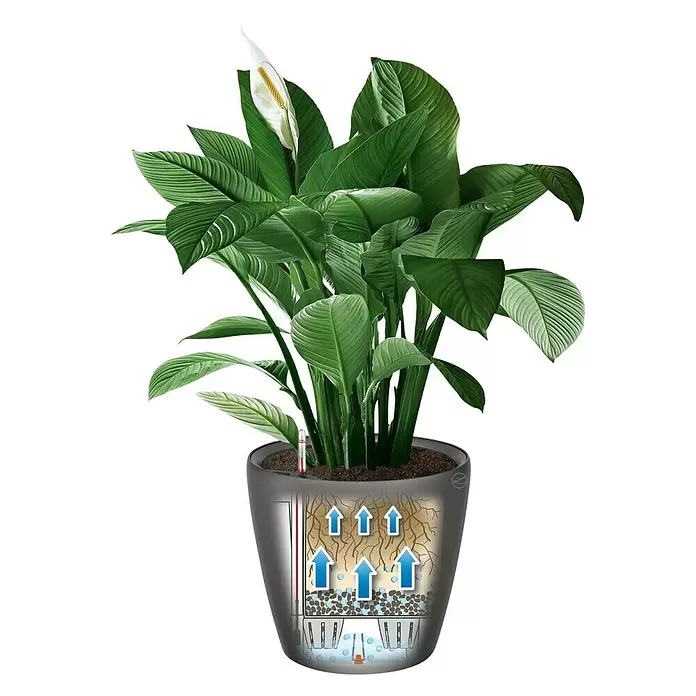 Lechuza Pflanztopf CLASSICO Premium LS - Außenmaß (Ø x H): 36 x 32,5 cm, Kunststoff, Anthrazit metallic - Skizze