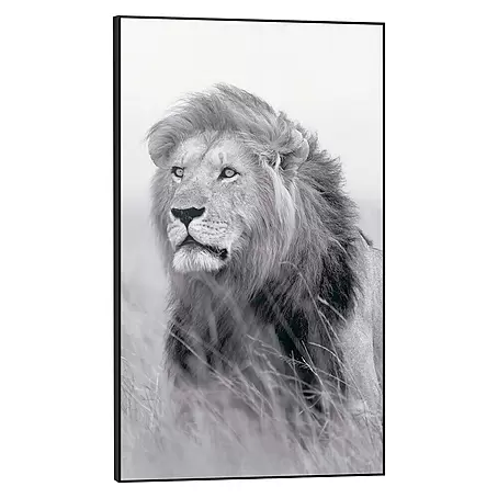 Bild Framed Canvas Look