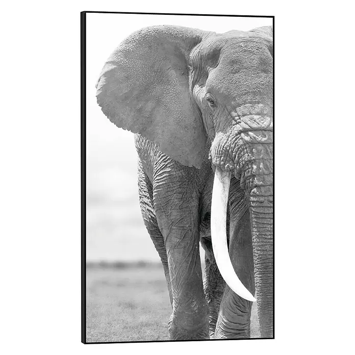 Bild Framed Canvas Look - B x H: 70 x 118 cm - Vorderansicht