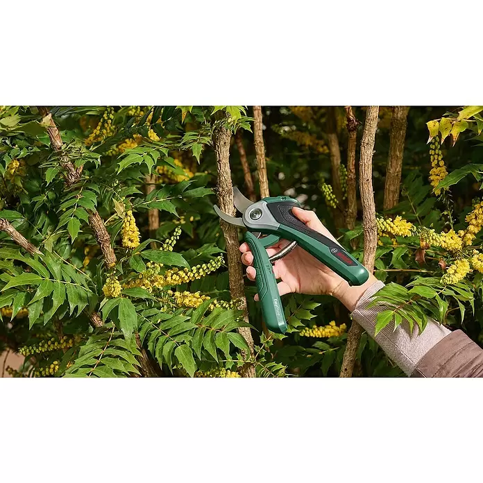 Bosch Škare za oblikovanje grana Easy Prune - Napon akumulatora: 3,6 V, Tip punjive baterije: Litij-ionska, Broj baterija: 1 baterija - Proizvod u upotrebi