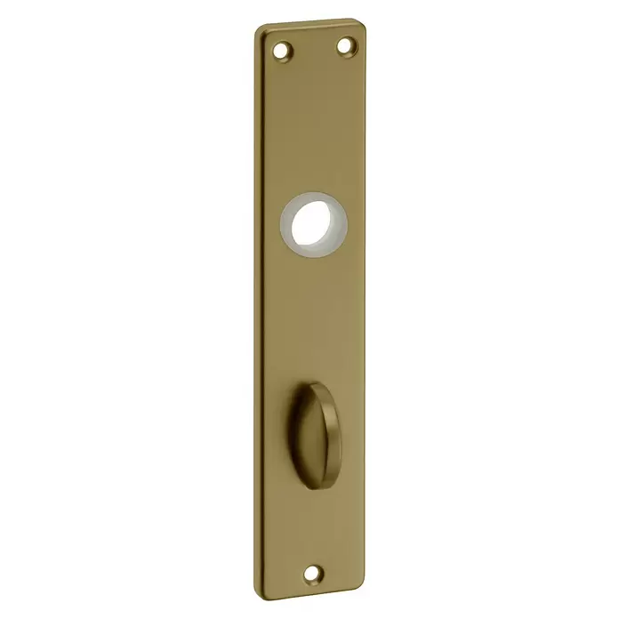 Portaferm WC-Langschild - Distanznorm: 78 mm, Lochung: Schlitzkopf/Olive SK/OL, Bronze - Diagonale Ansicht