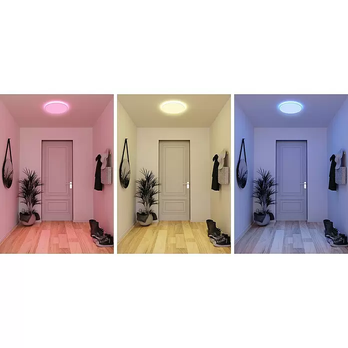 Müller-Licht Tint LED-Panel rund Tint Loris - 30 W, Ø x H: 450 mm x 5,1 cm, Weiß, Warmweiß - Stimmungsaufnahme