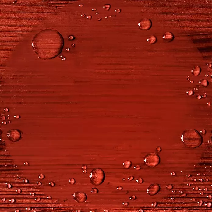 Alpina Wetterschutzfarbe deckend Holz-Farbe für Außen - Schwedenrot, Seidenglänzend, 2,5 l - Detailaufnahme