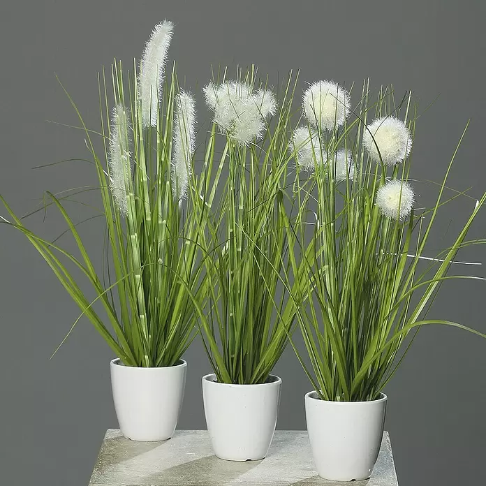 Kunstpflanze Gras - Höhe: 36 cm, Kunststoff - Stimmungsaufnahme