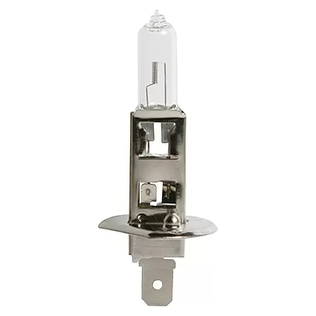 Carpoint  Halogeenlamp Auto H1