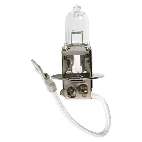 Carpoint  Halogeenlamp Auto H3