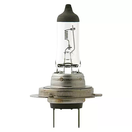 Carpoint  Halogeenlamp Auto H7