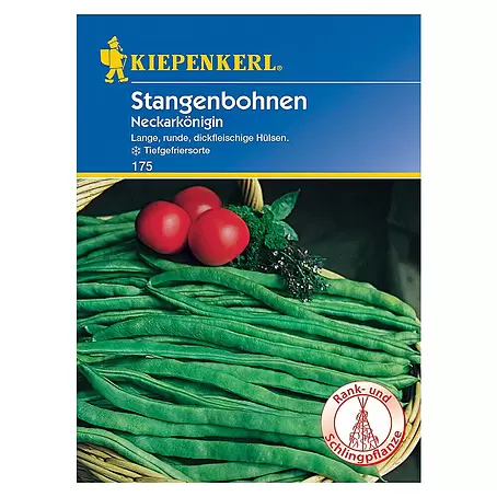 Kiepenkerl  Gemüsesamen Stangenbohne Neckarkönigin