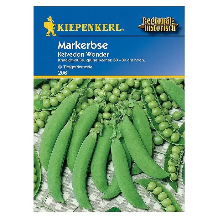 Kiepenkerl Gemüsesamen Markerbse Kelvedon Wonder - Pisum sativum, Erntezeit: Juni - Vorderansicht